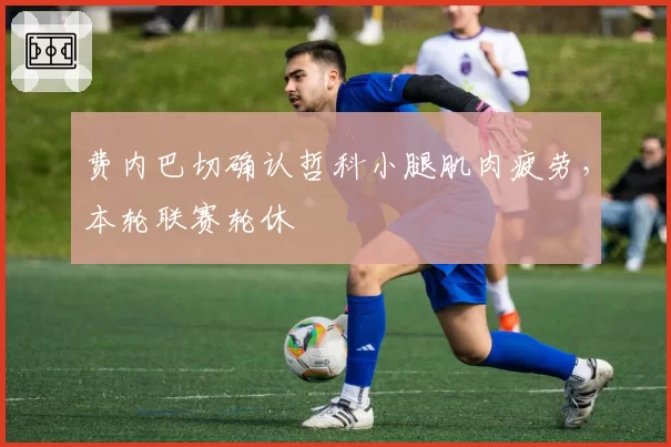 费内巴切确认哲科小腿肌肉疲劳，本轮联赛轮休