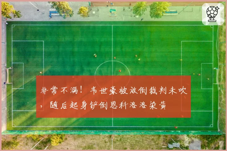 非常不满！韦世豪被放倒裁判未吹，随后起身铲倒恩科洛洛染黄