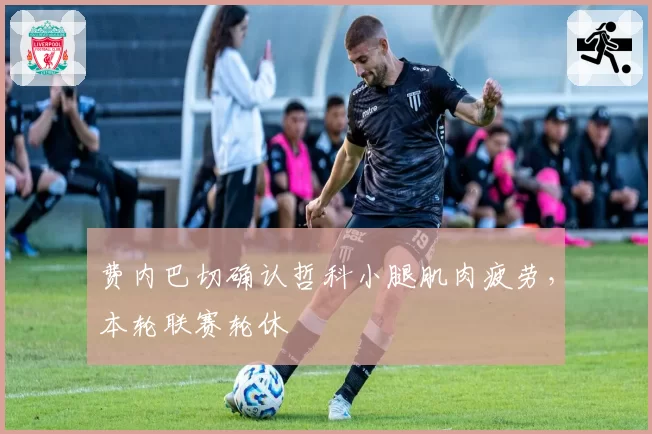 费内巴切确认哲科小腿肌肉疲劳,本轮联赛轮休