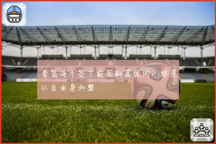 青岛海牛签下前国脚蒿俊闵，球员以自由身加盟