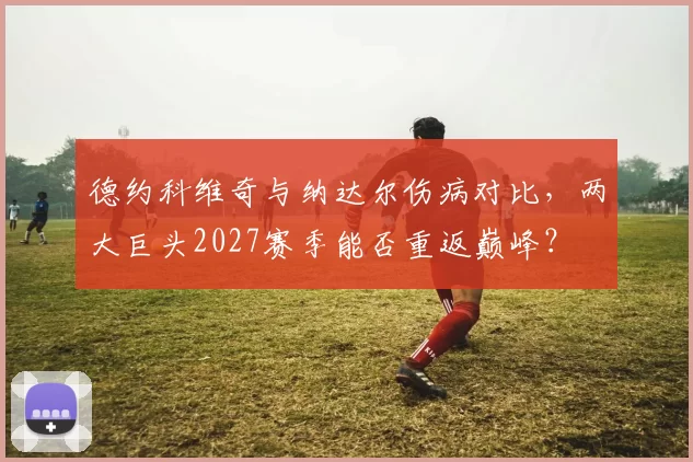 德约科维奇与纳达尔伤病对比，两大巨头2027赛季能否重返巅峰？